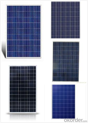 Low Price Poly Solar Module Manufacturer in China for Solar Panels in The United States System 1