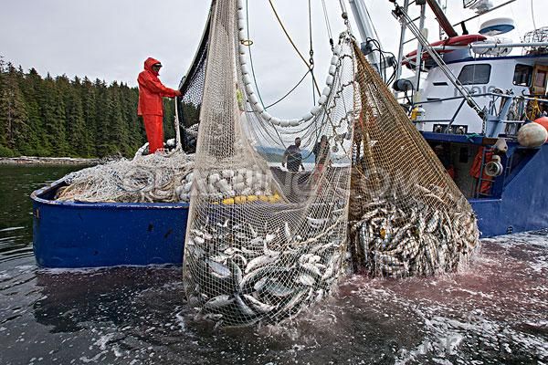 100% Nylon Monofilament Fishing Net to Africa