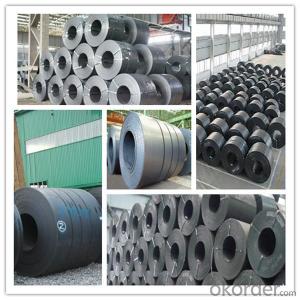 Prime Hot Rolled Steel Sheets in Coils Steel Coil China Supplier System 1