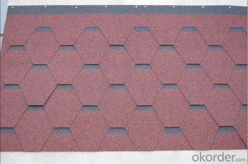 Plan Standard Fiberglass Waterproof Asphalt Shingle System 1