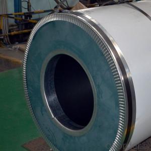 Cold Rolled Steel Coils Grade 304L NO.2B Finish with High Quality China best Seller System 1