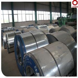Galvanized steel coil in low price DX51D+Z System 1