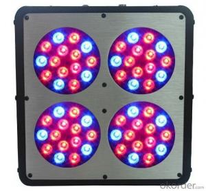 LED Grow Light 180W led RainbowModule Design Made in China System 1
