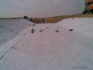 Hdpe Geomembrane for  Landfill to Prevent the Waste Water