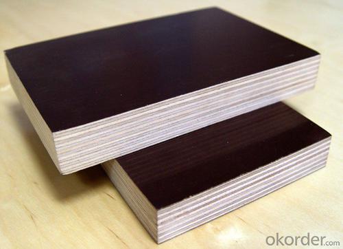 Hardwood Core Film Faced Plywood For Construction System 1