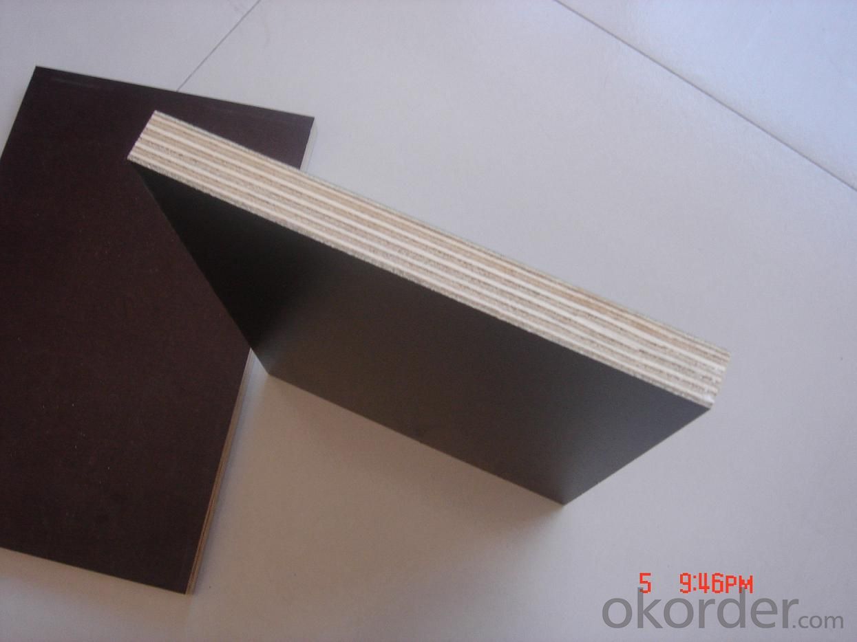 Black Film Faced Plywood  Waterproof Plywood Prices for Formwork