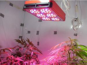 LED Grow Light 2015 High Quality 450W 6000Lumens CE&ROSH Approved System 1