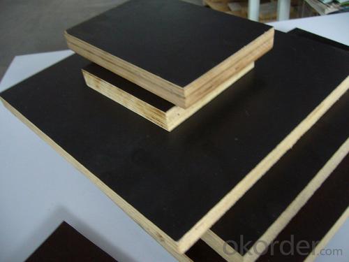 Poplar Core Brown Film Melamine Glue Film Faced Plywood System 1