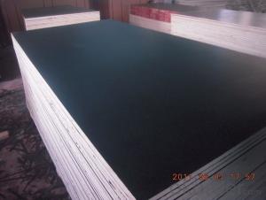 Jointed Core Black Film Faced Plywood Waterproof