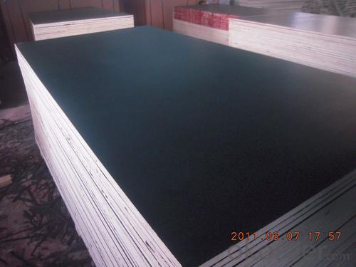 Jointed Core Black Film Faced Plywood Waterproof System 1