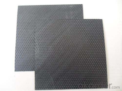 Harga Geomembrane Geocomposite Membrane for Landfill to Prevent Waste Water System 1