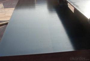 Black Film Faced Plywood/Shuttering Plywood Combi Core