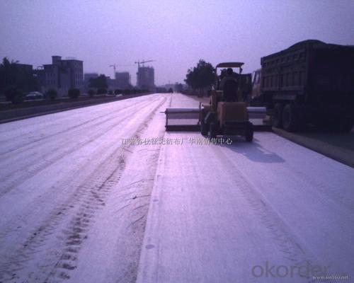 Woven Geotextile Fabric Suppliers for Polyester Geotextile in Road Construction System 1