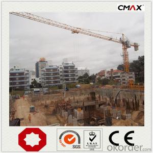 Tower Crane TC5013B Intergrated Mast Section