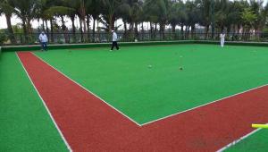 Affordable Artificial Grass For Sports From CNBM