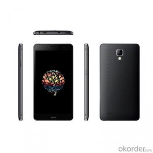 5.5 Inch HD Android 4.4 Dual-SIM 4G Smartphone