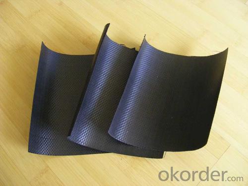 1.0mm HDPE Geomembrane Film for Landfill Wastewater Prevention System 1