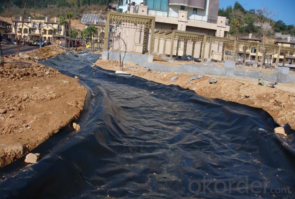 Two Sides Texturd Hdpe Geomembrane to  Prevent the Waste Water
