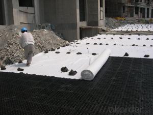 Black Polypropylene(PP) Geotextile for Road Construction
