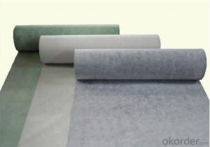 Polyvinyl Chloride (PVC) Waterproofing Membrane with UV Resistance System 1