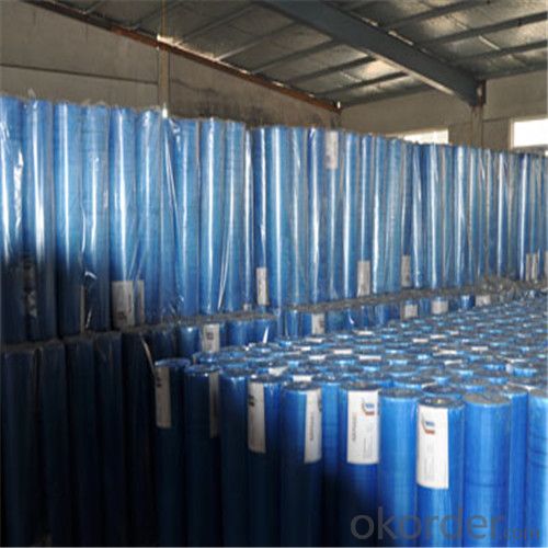 High Quality Fiberglass Mesh Cloth - Coated Alkali-Resistant 95g/m2 6x6/Inch System 1