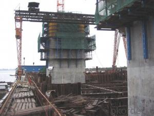 Auto-climbing Formwork with Hydraulic equipment for climbing system System 1