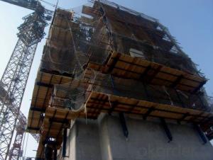 Auto-climbing Formwork from CHINA with Hydraulic system System 1