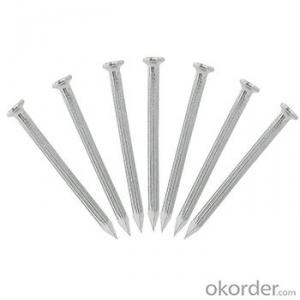 Stainless Steel Twist Concrete Nails with Low Price For Europe