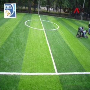 FIFA Certificated Artificial Grass for Football System 1