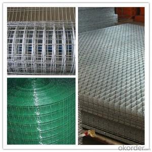 Welded Wire Mesh, Galvanized, PVC Coated, Ral Color System 1