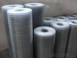Galvanized / PVC Coated Welded Wire Mesh (20years factory & ISO9001 Approved) System 1