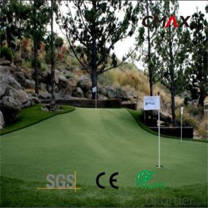 Artificial Grass for Leisure &Landscape Use