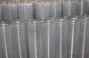 1/2''Galvanized Welded Wire Mesh in Stock System 1