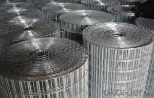 Welded Wire Mesh/PVC Coated Welded Wire Mesh/Galvanized Welded Wire Mesh