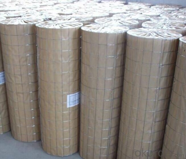 Hot Dipped Galvanized Welded Wire Mesh in Roll