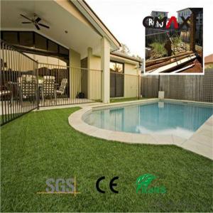 Artificial Grass Certificated Swimming Pool for Sports Field System 1