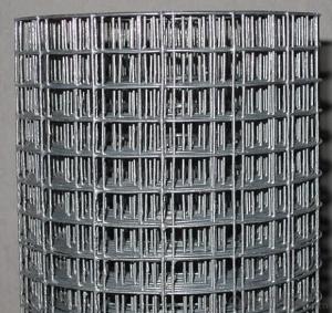 Electro Galvanized Welded Wire Mesh From Best Seller System 1
