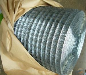 Best Seller PVC Coated Welded Wire Mesh in Roll
