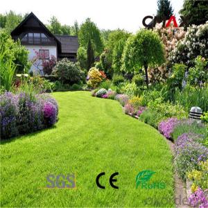 Artificial Grass for Landscaping with PEPP