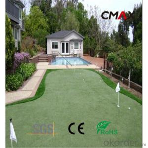 Resilience Artificial Grass for Garden/Backyard with High Quality System 1