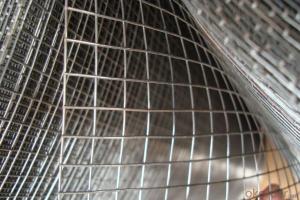 Hot Dipped Galvanized Welded Wire Mesh in Low Price System 1