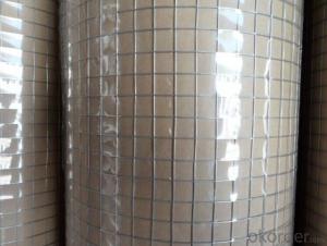 Hot DIP Galvanized /PVC Coated Welded Wire Mesh System 1