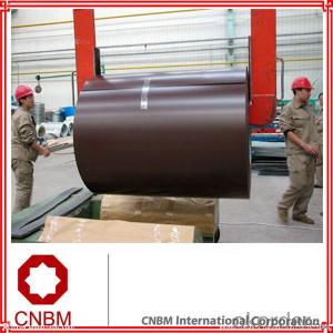 Prepainted galvanized steel coil hot sale System 1