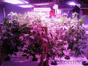 2016 New Spider LED Plant Lights, LED Grow Light System 1