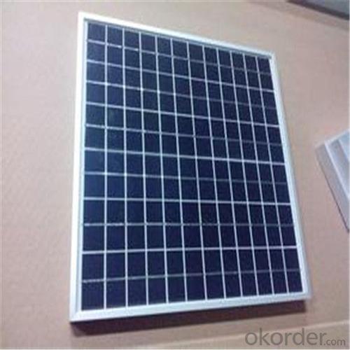 Bisol Solar Panels 300w Poly Solar PV Modules for Large from CNBM System 1