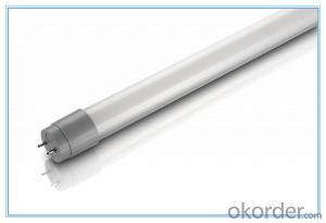 TUV CE Listed T8 24W Frosted LED Tube with 5 Years