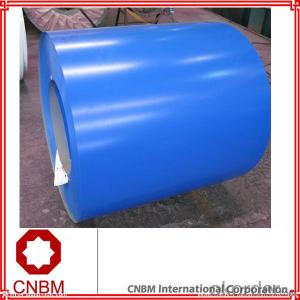 Pre-painted galvanized steel coil cheap building materials System 1
