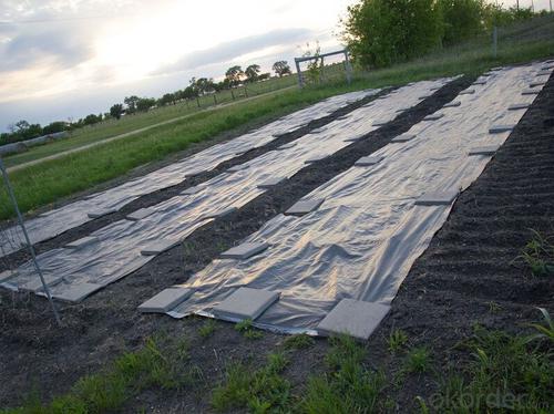 Aos Geotextile Silt Fence with Pocket & Wooden Stake/Polypropylene Woven Fabric System 1