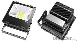 Outdoor Led Flood Lighting HOT Sales High Power CE RoHS IP65 100W System 1