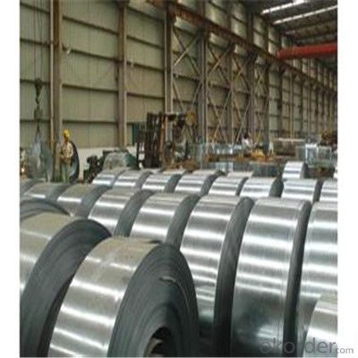 Hot and Cold Rolled Steel Strip Coils with High Quality in China